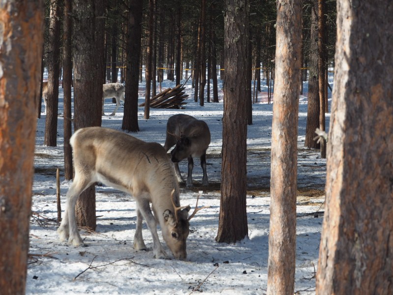 OLYMPUS DIGITAL CAMERA