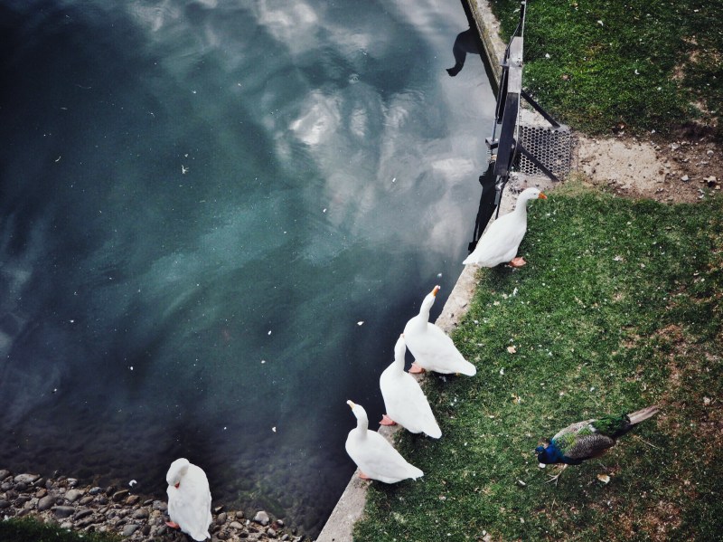 OLYMPUS DIGITAL CAMERA Processed with Snapseed.