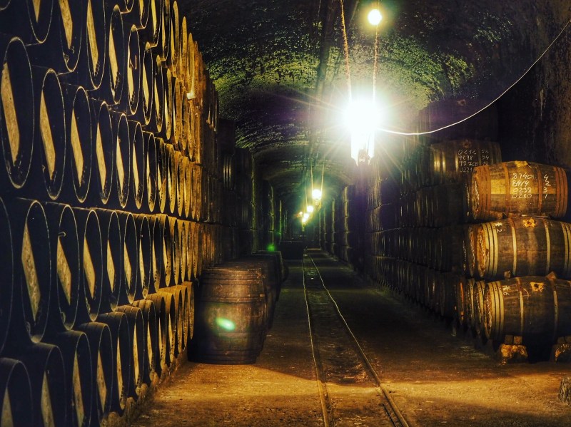 OLYMPUS DIGITAL CAMERA Processed with Snapseed.