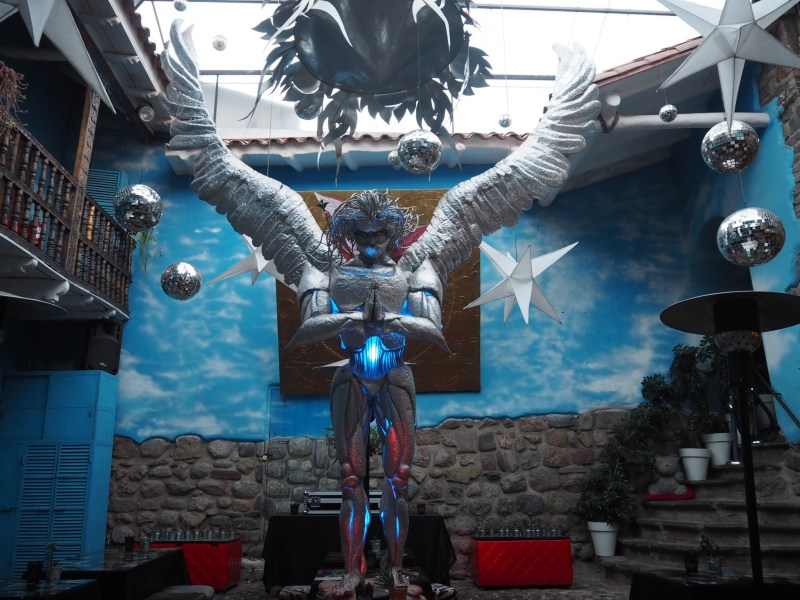 OLYMPUS DIGITAL CAMERA