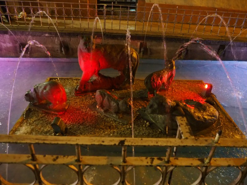 OLYMPUS DIGITAL CAMERA